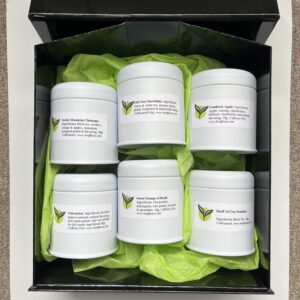 Holiday-Gift Box